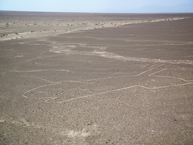 PE Nazca Lines Frog